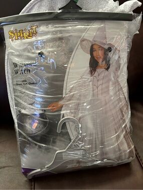 Spirit Silver Sparkle Witch Costume Dress with Matching Hat